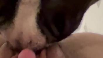 Bitch slurps on guy's dick in messy styles until cum bursts out