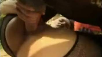 Dark-haired woman is pounded by a massive horse dick in the open air