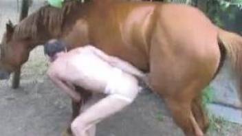 Brown pony destroying a balding dude's asshole