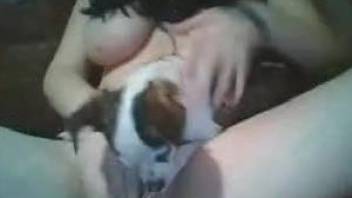 Dark-haired webcam slut plays with her small dog