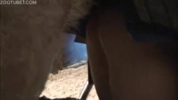 Extreme close-up beast sex - unbelievably steamy video