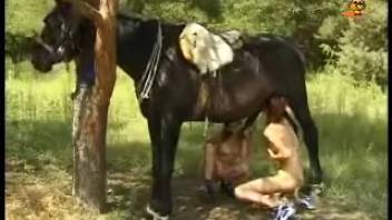 Well-endowed ebony stallion has its cock blown on video