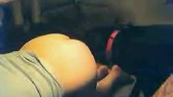 Busty woman relishes intense bestiality sex with a dog
