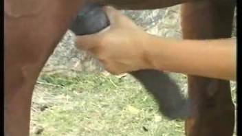 Tattooed blonde gives head to a well-hung stallion in a stable