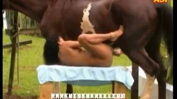 Woman experiments with a massive equine penis in her vagina for the very first time