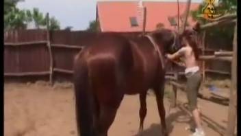 Stallion thrusts into woman's vagina during outdoor bestiality encounter