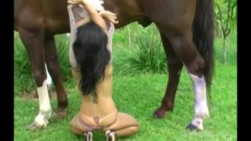 Hispanic woman in violet garb performs oral on a well-hung stallion